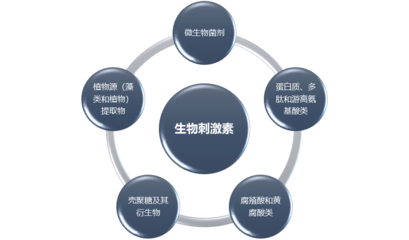 生物刺激素行業(yè)全景洞察 市場(chǎng)規(guī)模、發(fā)展前景與投資機(jī)遇分析
