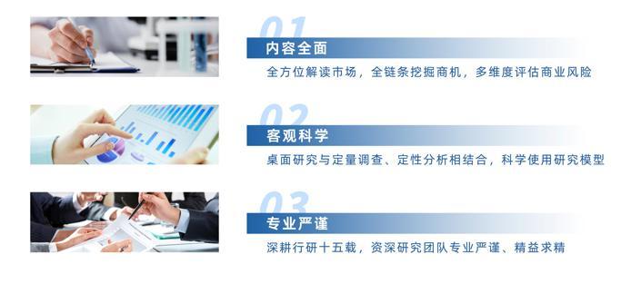 2025年中國電子產品跨境供應鏈服務行業市場深度分析及投資戰略咨詢報告