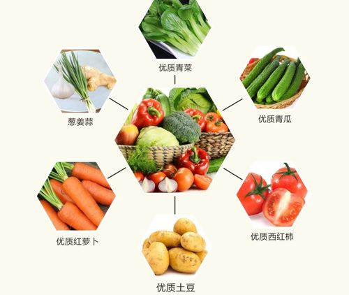 老西關(guān)食材產(chǎn)品系列 一站式采購(gòu)，重溫地道廣府味