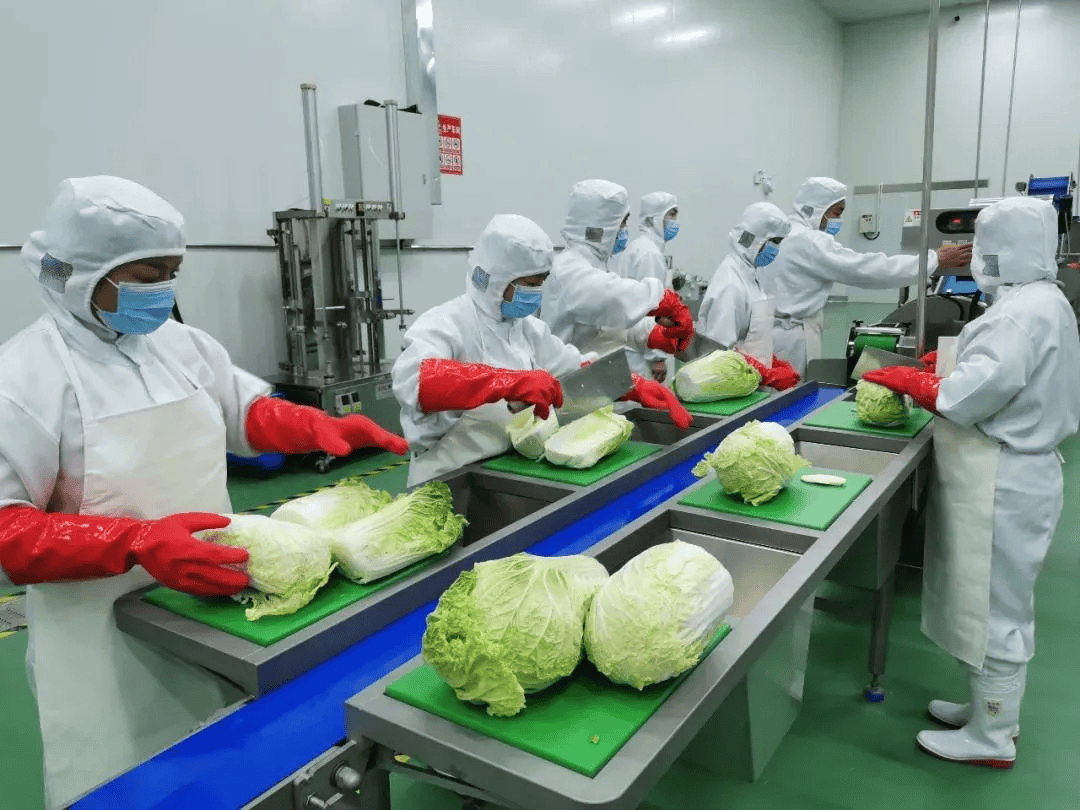 信息化助力校園食材安全，構建陽光放心采購體系